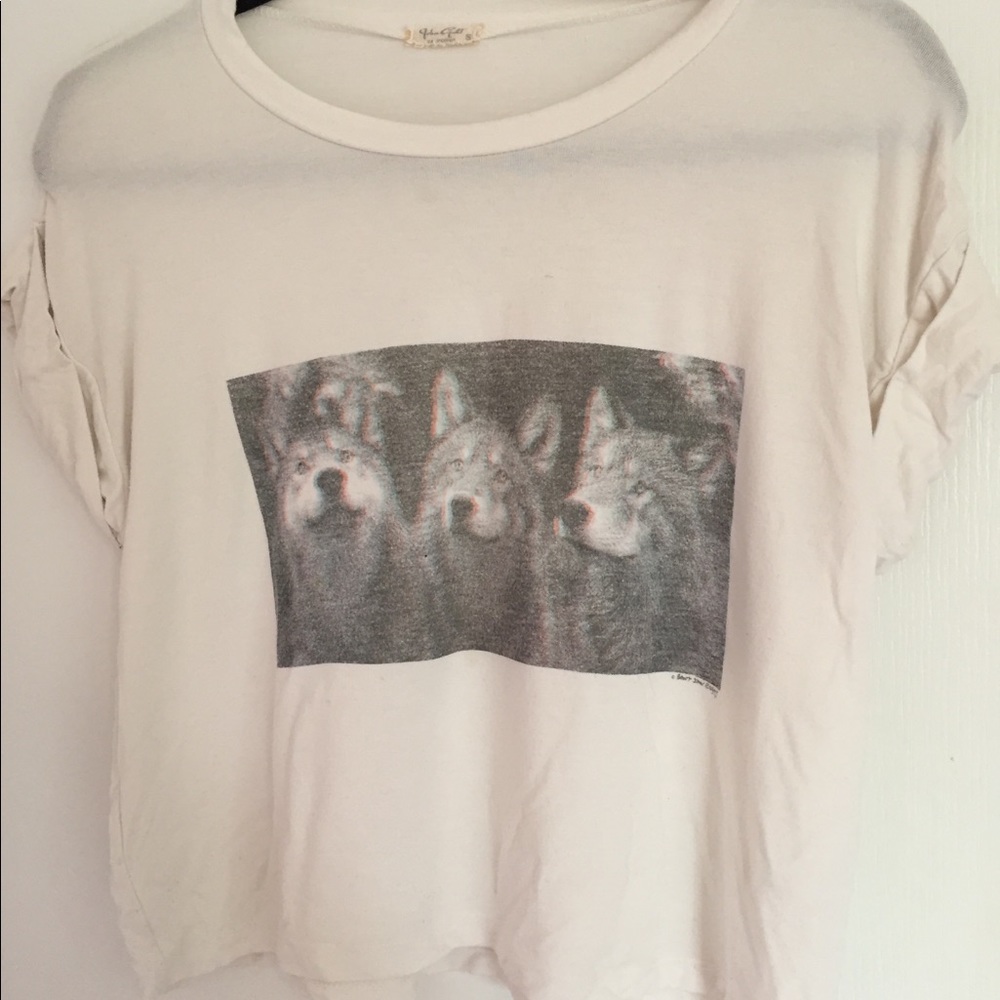 brandy melville crop top